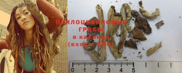 гидропоника Козловка